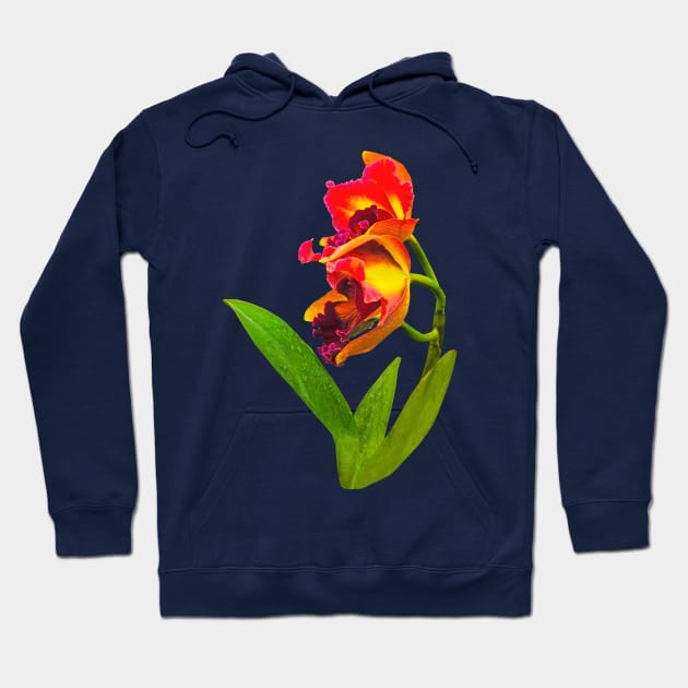 Orchids - Frilly Red and Yellow Orchids Hoodie by SusanSavad